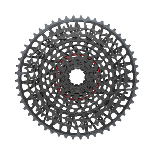 Pacco Pignoni Sram X0 Eagle XS 1295 T-Type Eagle 12s